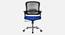 Tessa Breathable Mesh Ergonomic Chair in Orange Colour (Blue) by Urban Ladder - Front View Design 1 - 829756