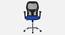 Vega Breathable Mesh Ergonomic ChairWithout Headrest  in Orange Colour (Blue) by Urban Ladder - Front View Design 1 - 829760
