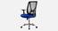 Aqua Breathable Mesh Ergonomic Chair in Orange Colour (Blue) by Urban Ladder - Design 1 Side View - 829764