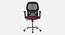 Viva Breathable Mesh Ergonomic Chair Without Headrest in Orange Colour (Maroon) by Urban Ladder - Front View Design 1 - 829826