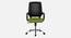 Wave Breathable Mesh Ergonomic Chair in Orange Colour (Green) by Urban Ladder - Front View Design 1 - 829896