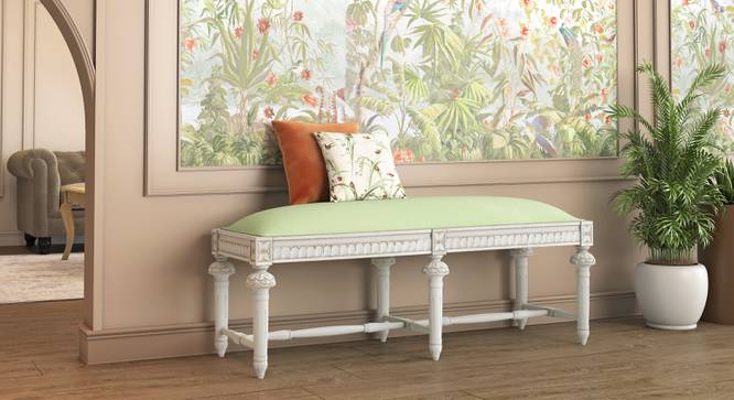 Lucine Bench Finish White Green in Colour (Green, White Finish) by Urban Ladder - Full View Design 1 - 