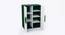 Hulk Two Door Cabinet Storage-Green (Green, Green Finish) by Urban Ladder - Design 1 Side View - 830080