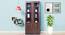 Song Display Unit (Columbian Walnut Finish) by Urban Ladder - Front View Design 1 - 830786