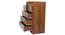 Willow Chest Of Drawers (Walnut Finish) by Urban Ladder - Rear View Design 1 - 830807