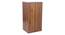 Harmony Shoe Racks (Walnut Finish) by Urban Ladder - Design 1 Side View - 830846