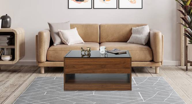 Cascade Coffee Tables (Brown Finish) by Urban Ladder - Front View Design 1 - 830881