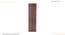 Echo Wadrobe (Columbian Walnut Finish) by Urban Ladder - Ground View Design 1 - 830890