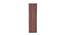 Echo Wadrobe (Columbian Walnut Finish) by Urban Ladder - Ground View Design 1 - 830890