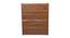 Ember Shoe Racks (Walnut Finish) by Urban Ladder - Ground View Design 1 - 830894