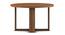 Cleo Coffee  Table (Exotic Teak Finish) by Urban Ladder - Ground View Design 1 - 831051