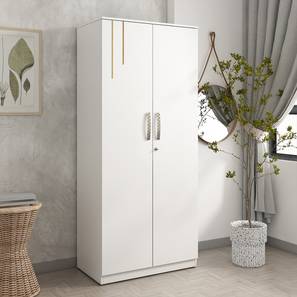 Kane Engineered Wood 2 Door Wardrobe Without Mirror in Frosty White Finish-image-0