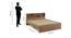 Knox King Bed Without Storage (Queen Bed Size, Exotic Teak Finish) by Urban Ladder - Design 1 Dimension - 831084
