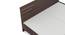 Asher King Bed Without Storage (Queen Bed Size, Choco Walnut Finish) by Urban Ladder - Rear View Design 1 - 831098