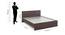 Asher King Bed Without Storage (Queen Bed Size, Choco Walnut Finish) by Urban Ladder - Design 1 Dimension - 831101