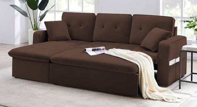 Neptune Sofa cum Bed (Brown) by Urban Ladder - Front View Design 1 - 832010