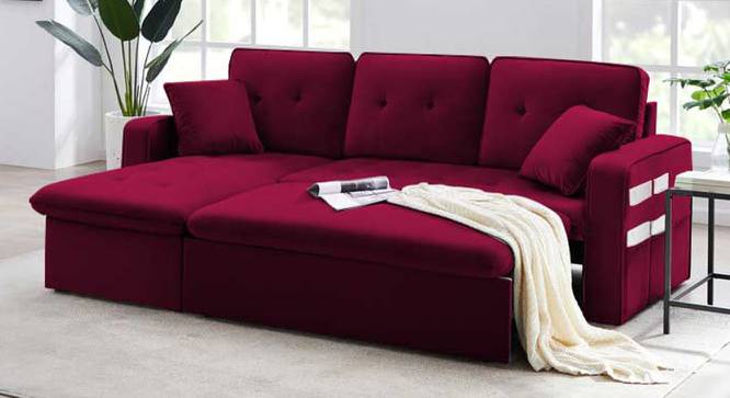 Neptune Sofa cum Bed (Maroon) by Urban Ladder - Front View Design 1 - 832012