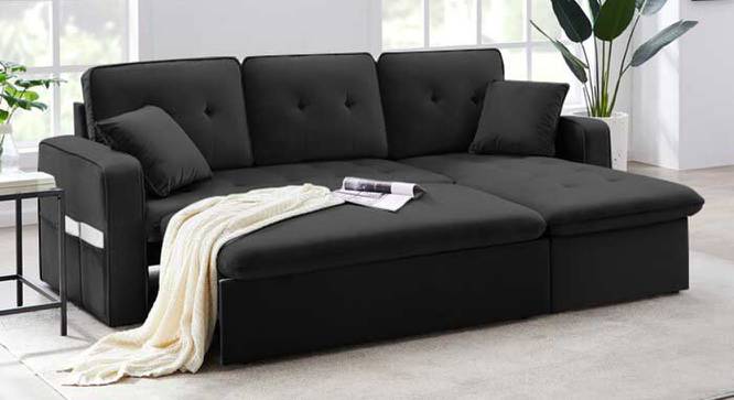 Neptune Sofa cum Bed (Black) by Urban Ladder - Front View Design 1 - 832014