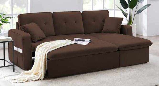 Neptune Sofa cum Bed (Brown) by Urban Ladder - Front View Design 1 - 832016