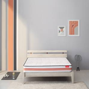 Boltt series lp
