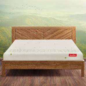 Queen Size Mattress In Greater Noida Design Kaya - Organic Cotton Fabric Queen Size Latex Foam Mattress (Queen, 78 x 60 in (Standard) Mattress Size, 6 in Mattress Thickness (in Inches))