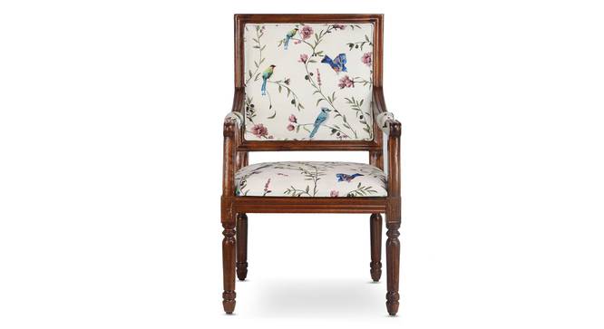 Willow Accent Chair - Multicolor by Urban Ladder - - 