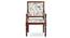 Willow Accent Chair - Multicolor by Urban Ladder - - 