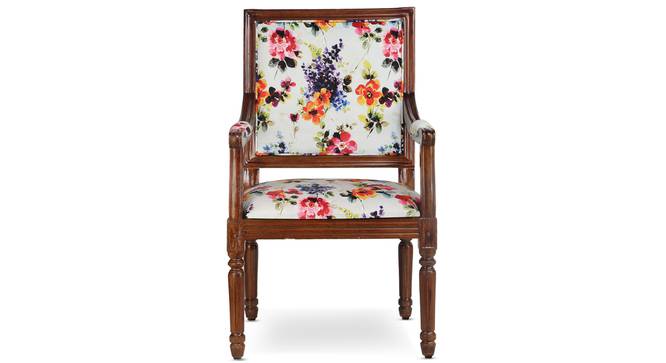 Aurora Accent Chair - Multicolor by Urban Ladder - - 