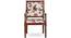 Aurora Accent Chair - Multicolor by Urban Ladder - - 