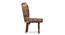 Evangeline Accent Chair - Multicolor by Urban Ladder - - 