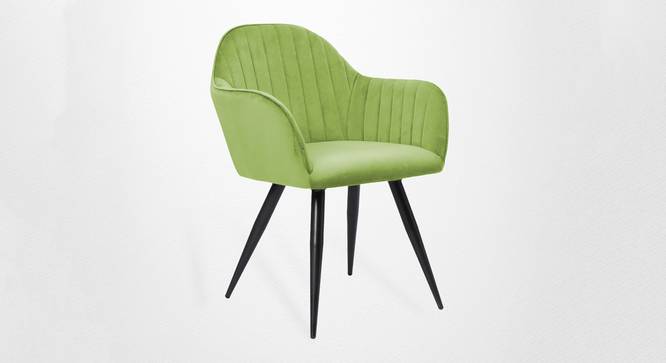 Ambar Dining Living Room Chair with Black Metal Powdered Coated (Green, Powder Coating Finish) by Urban Ladder - - 