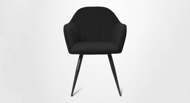 Ambar Dining Living Room Chair with Black Metal Powdered Coated (Black, Powder Coating Finish) by Urban Ladder - - 