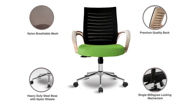 Low Back Royal Ergonomic Desk Office Mesh Chair (Black Green) by Urban Ladder - - 