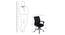 Low Back Royal Ergonomic Desk Office Mesh Chair (Black Blue) by Urban Ladder - - 