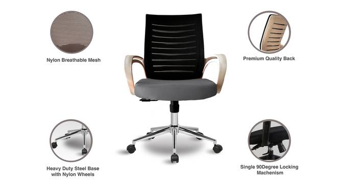Low Back Royal Ergonomic Desk Office Mesh Chair (Black Grey) by Urban Ladder - - 