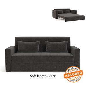 New Arrivals Living Seating Design Richmond 3 Seater Sofa cum Bed In Smoke Grey Colour