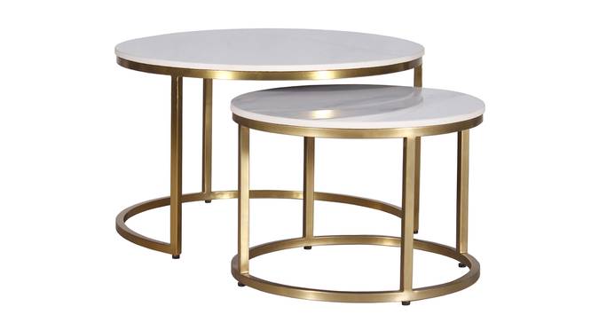 Selma Nesting Coffee Table Set Of 2 (Finish : Gold) (Gold Finish) by Urban Ladder - - 