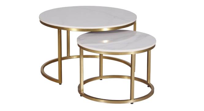 Selma Nesting Coffee Table Set Of 2 (Finish : Gold) (Gold Finish) by Urban Ladder - - 