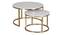 Selma Nesting Coffee Table Set Of 2 (Finish : Gold) (Gold Finish) by Urban Ladder - - 