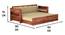 Felton Solid Wood Solid Wood Sofa Cum Bed (Light Honey Teak) by Urban Ladder - - 