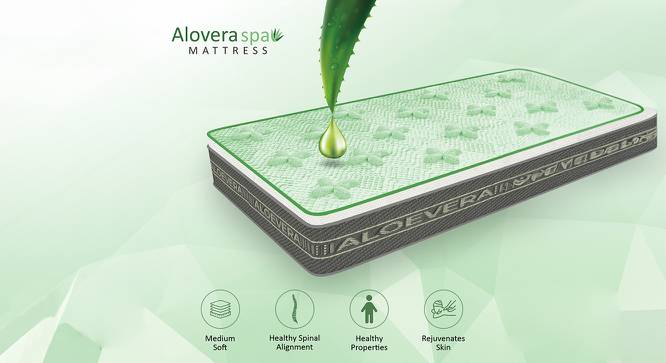 HR Foam Aloevera Fabric DIRECT FROM FACTORY (Single Mattress Type, 6 in Mattress Thickness (in Inches), 72 x 42 in Mattress Size) by Urban Ladder - - 