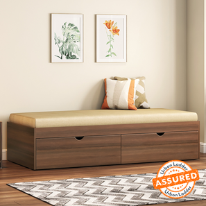 Divan Design Porto Engineered Wood Diwan In Acacia Finish (Acacia Finish)