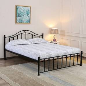 Morris Metal Queen Size Non Storage Bed in Black Finish-image-18