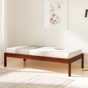 Bedroom Furniture In Udaipur Design Hudson Solid Wood Single Size Non Storage Bed in Honey Oak Finish