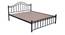 Morris Non Storage Metal Bed (Queen Bed Size, Black Finish) by Urban Ladder - - 