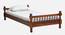 Wood Turner Solid Wood Non Storage Bed (Single Bed Size, Honey Oak Finish) by Urban Ladder - - 