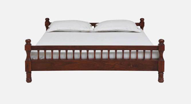 Wood Turner Solid Wood Non Storage Bed (Queen Bed Size, Honey Oak Finish) by Urban Ladder - - 