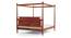 Pencil Poster Queen Bed In Honey Oak Colour (Queen Bed Size, Honey Oak Finish) by Urban Ladder - - 
