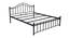 Morris Non Storage Metal Bed (Queen Bed Size, Black Finish) by Urban Ladder - - 