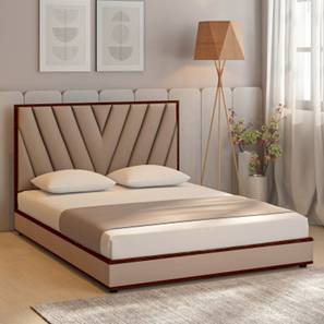 All Beds In Greater Noida Design Vincent Engineered Wood Queen Size Non Storage Bed in Honey Oak Finish